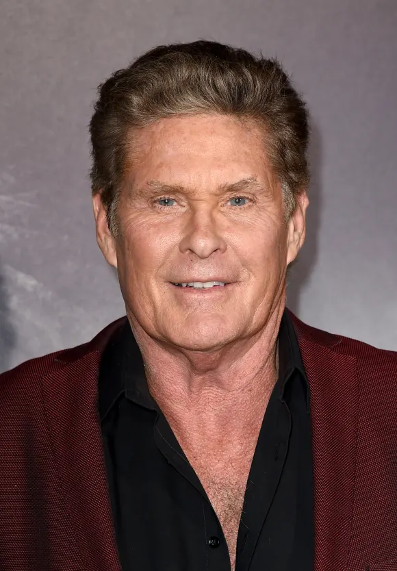 David Hasselhoff bei der Premiere von „The Mule“ in Los Angeles 2018