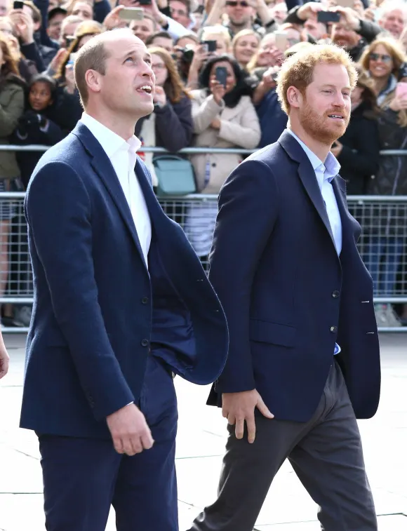 Prinz William und Prinz Harry