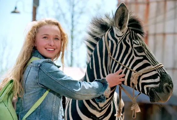 Hayden Panettiere im rennstall ist das zebra los