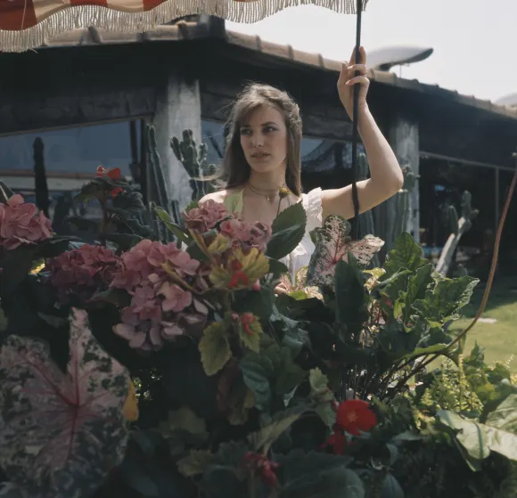 jane birkin