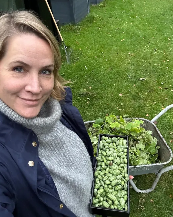 judith rakers ernte gurken