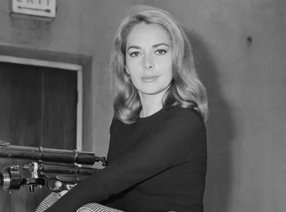 karin dor