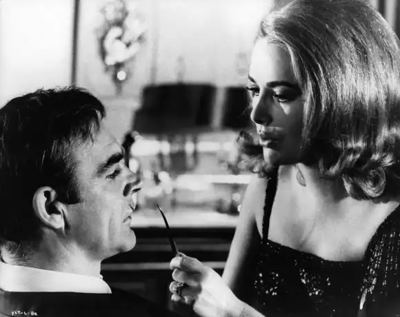 karin dor