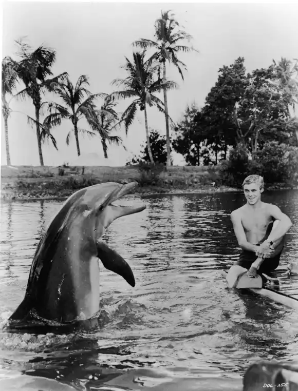 Luke Halpin in „Flipper"