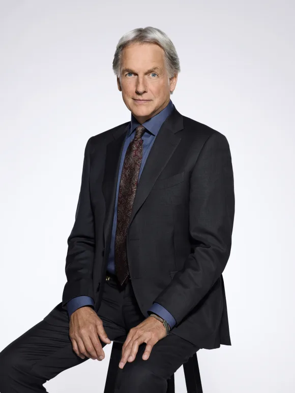 Mark Harmon neuer Job