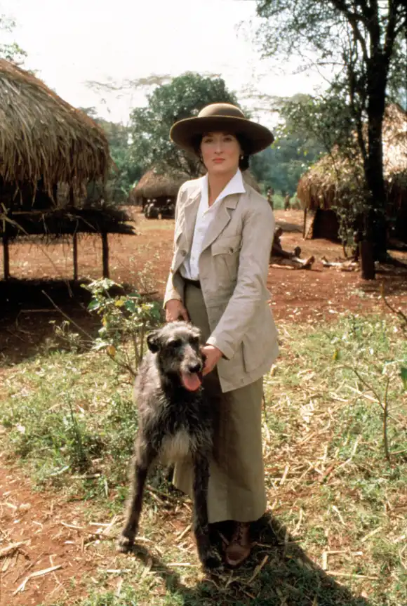 meryl streep früher verwandlung