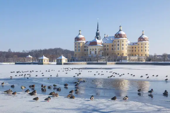 schloss moritzburg dresden
