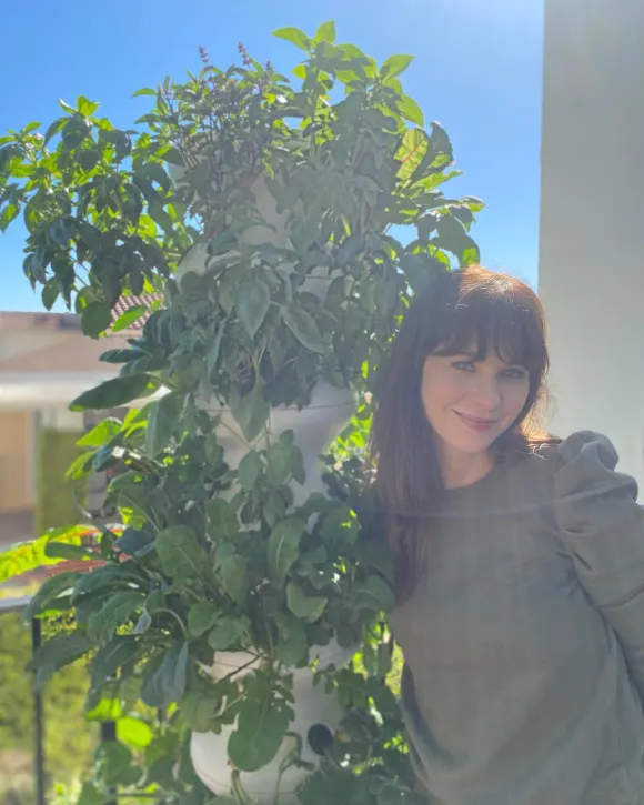 Zooey Deschanel salat farm